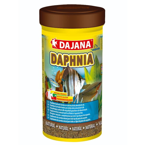⁦DAJANA דפניה 100 מ"ל⁩ – תמונה ⁦2⁩